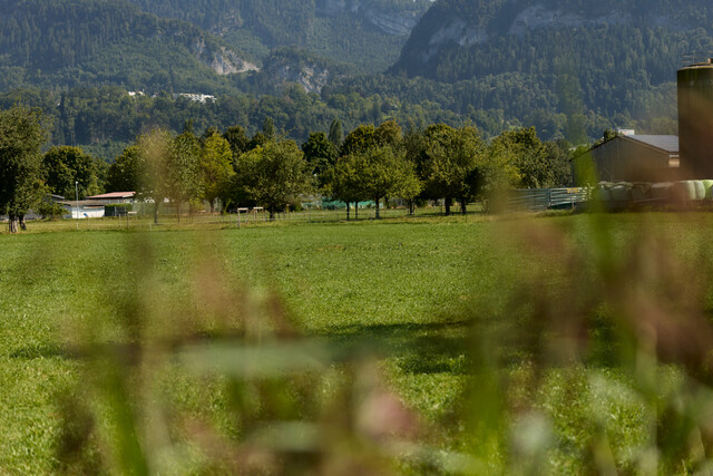 Wohngrundstück im Grünen - Götzis