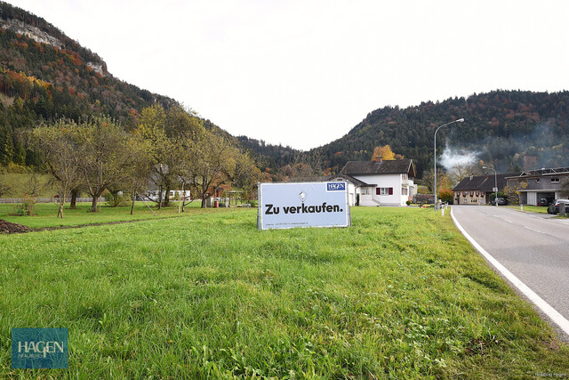 Attraktives Baugrundstück in Göfis – ca. 527 m² für individuelle Gestaltung