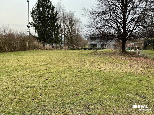 Insel der Sonne in Lustenau