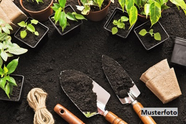 Ideale Kombination: Wohnen, Arbeiten und Natur