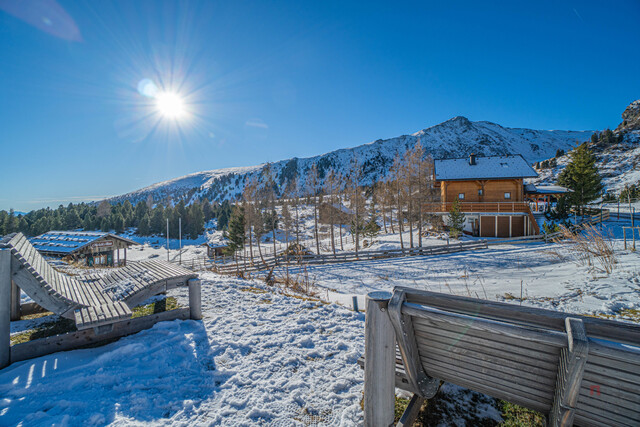 Neuwertiges Chalet Dorf mit Alm-Gasthof in bester Lage am Falkert - direkt neben der "Heidi-Alm"