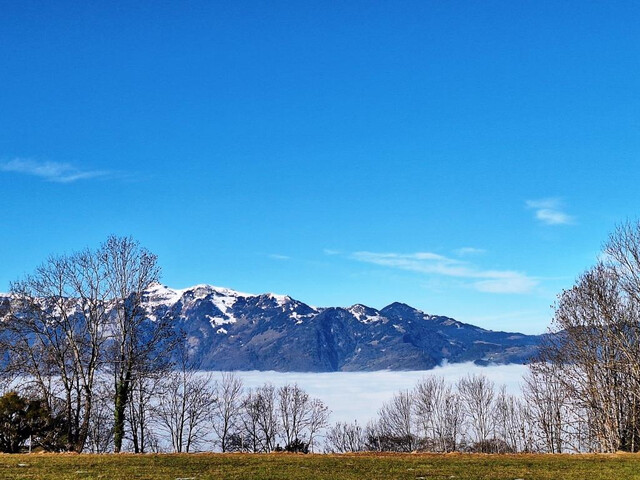 Nebel im Tal, egal! Helle 1-Zimmerwohnung in Suldis zu verkaufen!