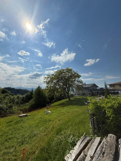 Charmantes Bauernhaus in Hohenems: Ihr Renovierungsprojekt mit Garten und Garage !