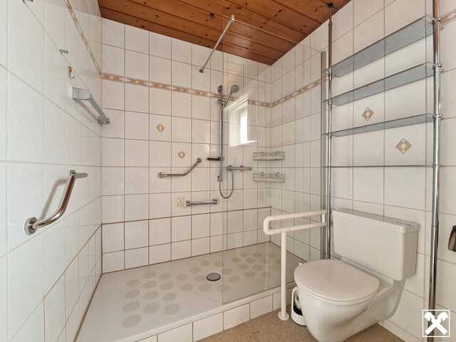 Haus mit traumhaftem Grundstück