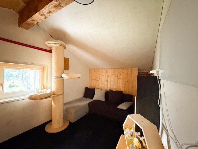 Großzügiges Wohnhaus mit Einliegerwohnung, Werkstatt und viel Potenzial
