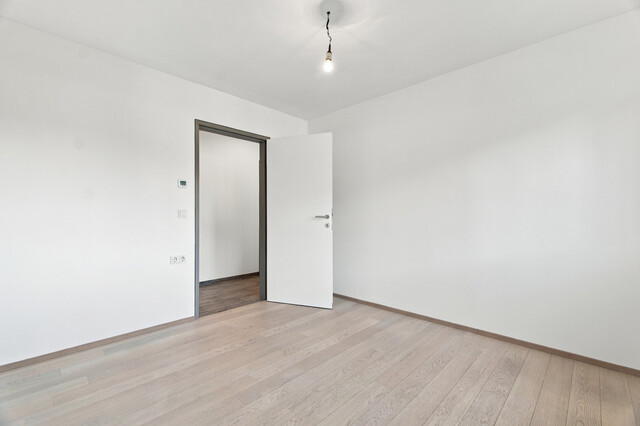 Ruhig gelegene 3-Zimmer Wohnung mit großer Terrasse in Hard