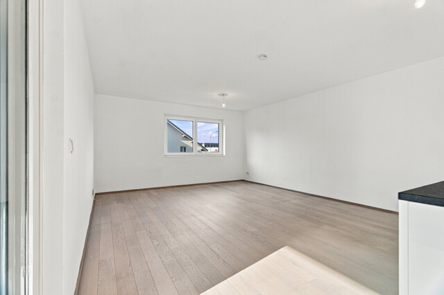Ruhig gelegene 3-Zimmer Wohnung mit großer Terrasse in Hard