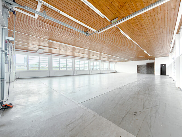 Gewerbliche Halle in Top-Lage – Hard, Rheinstraße 8