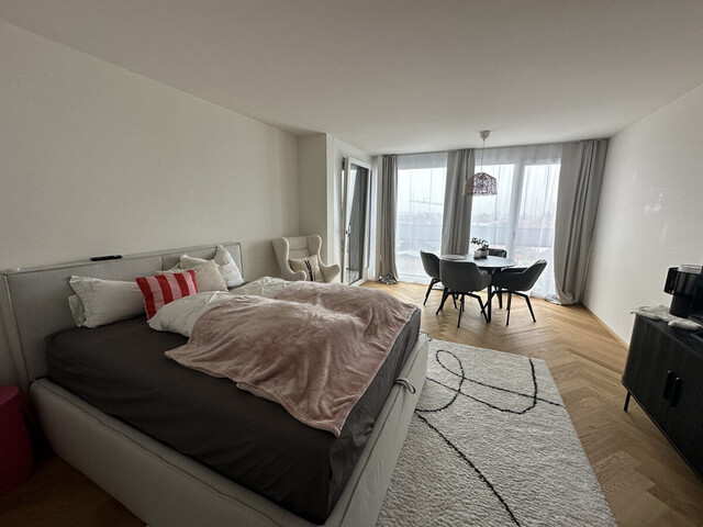 Hochwertige 1-Zimmer-Wohnung mit traumhafter Aussicht in Dornbirn