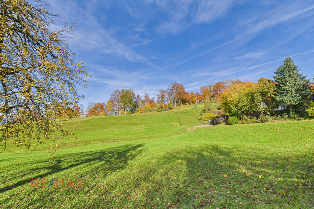 Ruhiges Paradies in Hohenems/Emsreute – Ihr Baugrundstück wartet