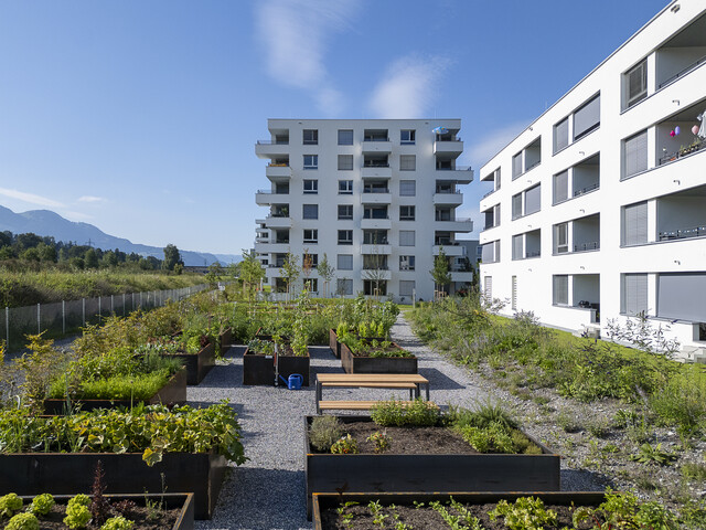 Wohnen in zentrumsnaher Grünlage