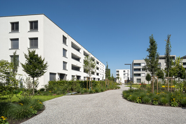 Wohnen in zentrumsnaher Grünlage