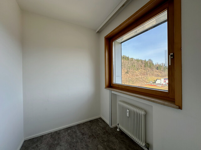 Zentral mit Traumhafter Aussicht wohnen!