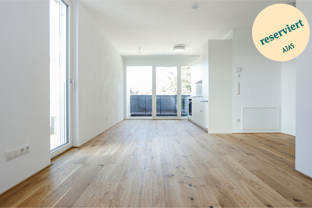 Exklusives 3-Zimmer-Penthouse mit riesiger Dachterrasse im Zentrum von Hard - Erstbezug!
