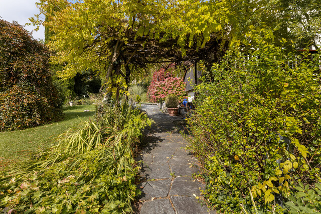 Charmantes Einzelstück in Feldkirch