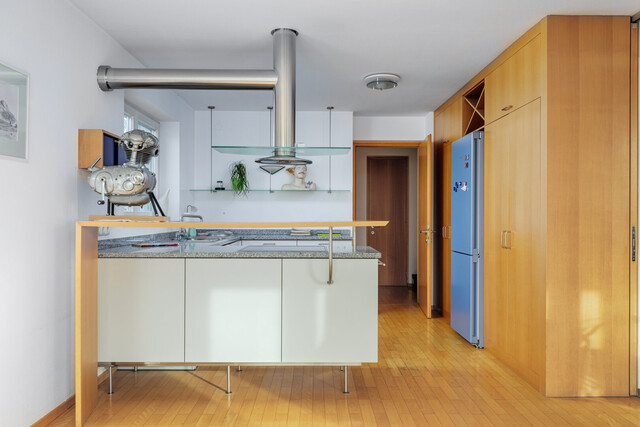 Ökologisches Traumhaus- für den anspruchsvollen Hausbesitzer-mit Garten und begehbarer Dachterrasse!