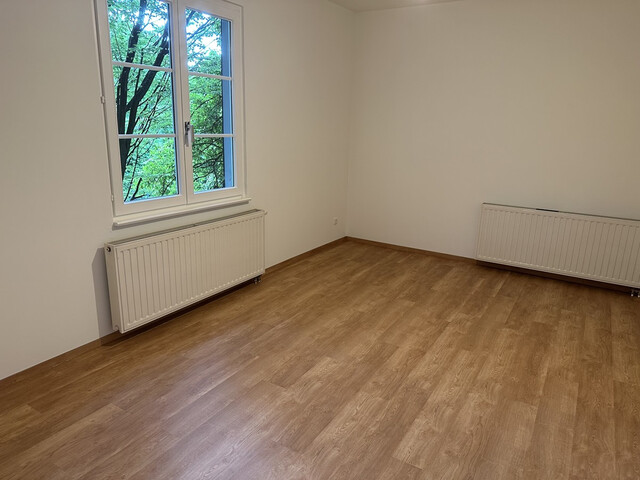 Sehr schöne und helle 3,5-Zimmer-Wohnung in wunderschönem Altbau in Hohenems
