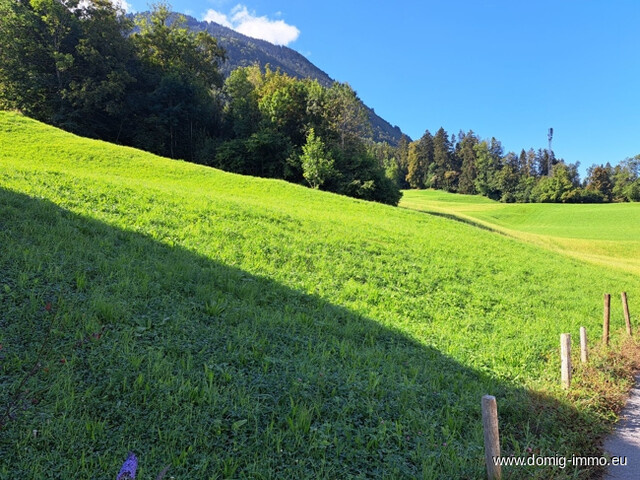 Baugrundstück ca. 344m² mit Bergpanorama in Feldkirch/Frastanz (Letze)!