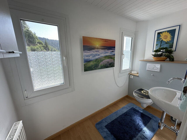 3,5-Zimmer-Wohnung, inkl. Garage und Stellplatz!