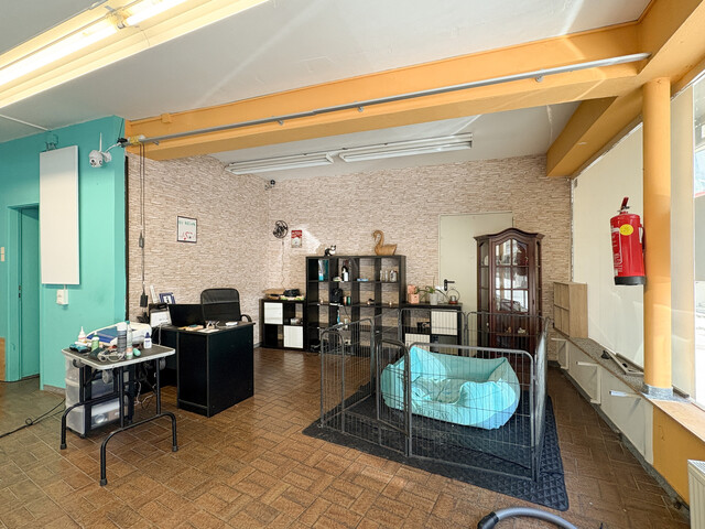 Gewerbefläche am Rande der Fußgängerzone / Jahnstraße