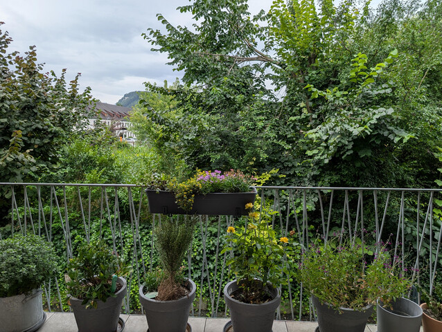 provisionsfrei  - moderne, helle 2 Zimmer-Wohnung mit großem Balkon