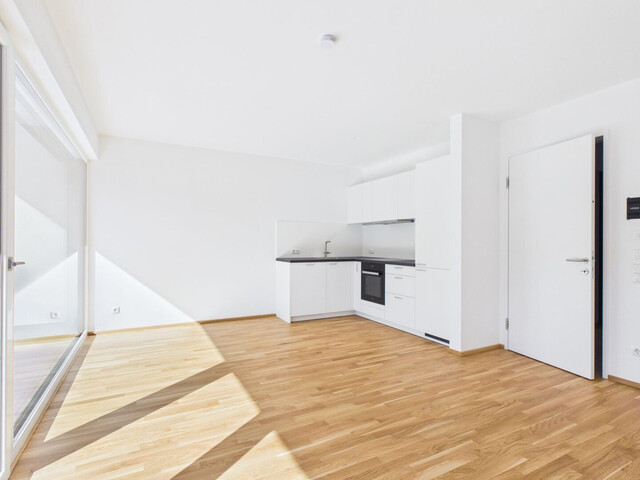 Exklusive 4-Zimmer-Maisonette-Wohnung mit Garten - Top 2