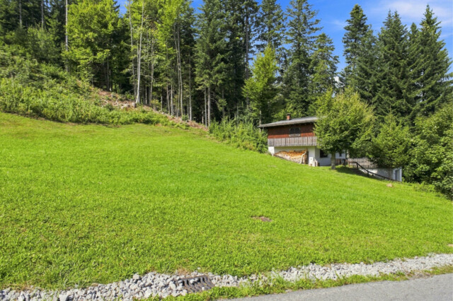 Freiraum für ein besonderes Ferienprojekt im Bregenzerwald