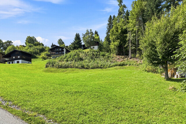 Freiraum für ein besonderes Ferienprojekt im Bregenzerwald