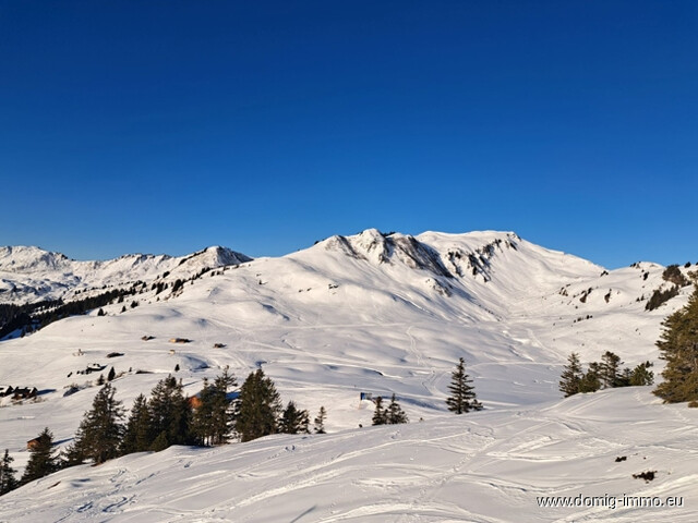 Einzigartige Chance, ein Feriengrundstück "Zweitwohnsitz" im Ferien- und Skiresort Damüls zu kaufen!