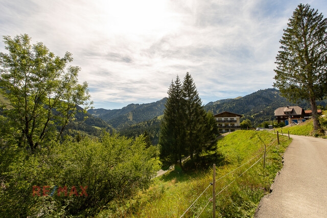Ankommen und Ausspannen auf 950 m² Naturglück