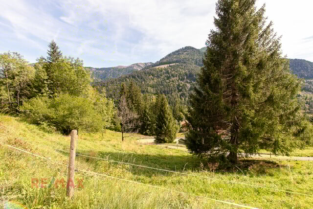 Ankommen und Ausspannen auf 950 m² Naturglück