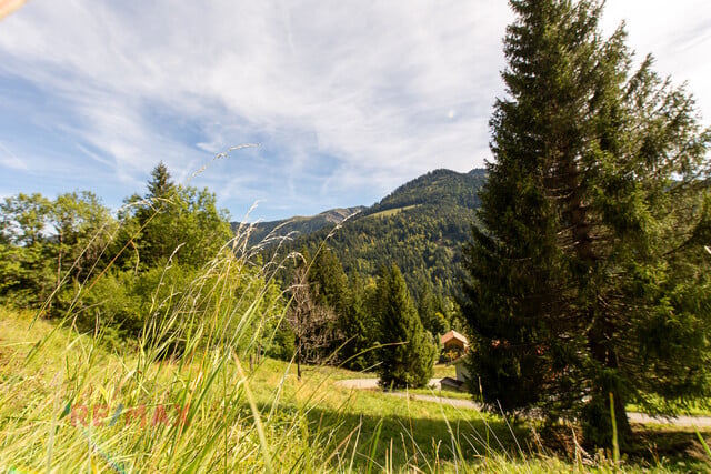 Ankommen und Ausspannen auf 950 m² Naturglück