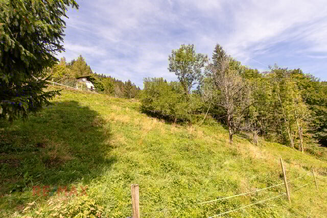 Ankommen und Ausspannen auf 950 m² Naturglück