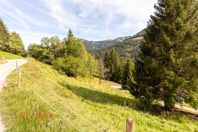 Ankommen und Ausspannen auf 950 m² Naturglück