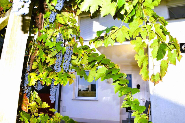 Geräumiges Reihenhaus in bester Sonnenlage, Lustenau, Balkon, Terrasse, Garten, 2 Garagenplätze, Keller und Fahrradabstellraum