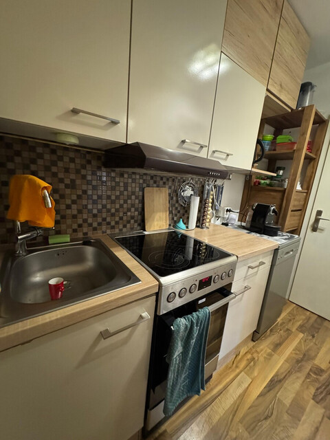 IDYLLISCHE 1-ZIMMER-WOHNUNG MIT TERRASSE IN DEN BERGEN DES GROßWALSERTALS