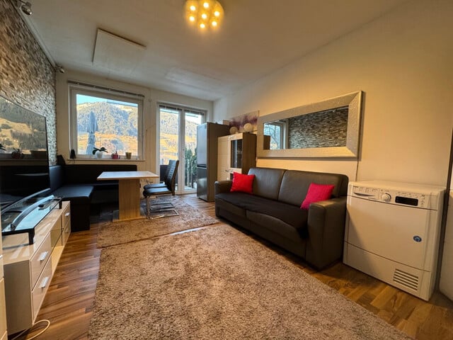 IDYLLISCHE 1-ZIMMER-WOHNUNG MIT TERRASSE IN DEN BERGEN DES GROßWALSERTALS