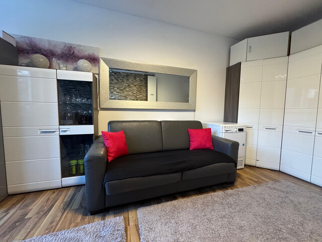 IDYLLISCHE 1-ZIMMER-WOHNUNG MIT TERRASSE IN DEN BERGEN DES GROßWALSERTALS