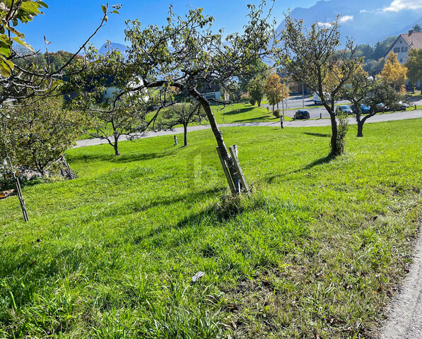 UNVERBAUBARER PANORMABLICK IM BERGDORF GURTIS