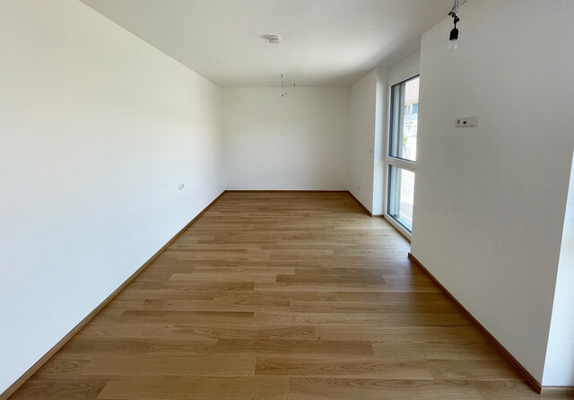 Erstbezug - 4-Zimmer-Terrassenwohnung in Schwarzach