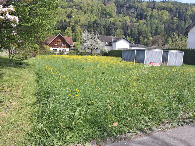 Voll erschlossenes Baugrundstück in Gisingen Sonnengasse, 909 qm ohne Provision.