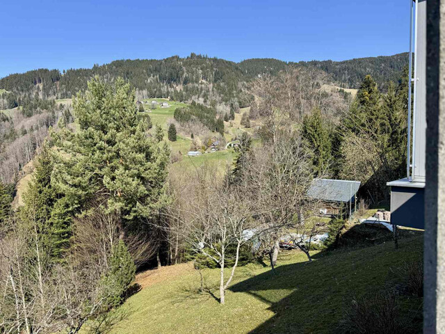 Wohnen über der Nebelgrenze - Architektenhaus mit Weitblick
