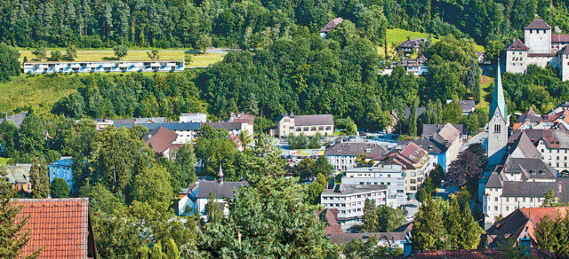 2-Zi Wohnung  Erdgeschoß im Grünen mit Topaussichtlage  direkt über Feldkirch