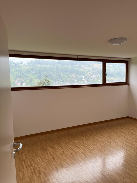 2-Zi Wohnung  Erdgeschoß im Grünen mit Topaussichtlage  direkt über Feldkirch