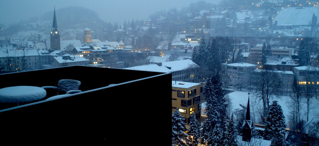 2-Zi Wohnung  Erdgeschoß im Grünen mit Topaussichtlage  direkt über Feldkirch