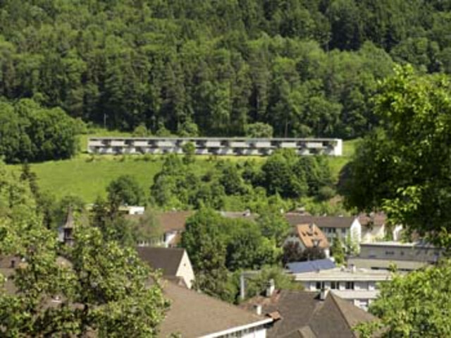 2-Zi Wohnung  Erdgeschoß im Grünen mit Topaussichtlage  direkt über Feldkirch