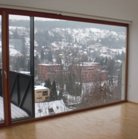 2-Zi Wohnung  Erdgeschoß im Grünen mit Topaussichtlage  direkt über Feldkirch