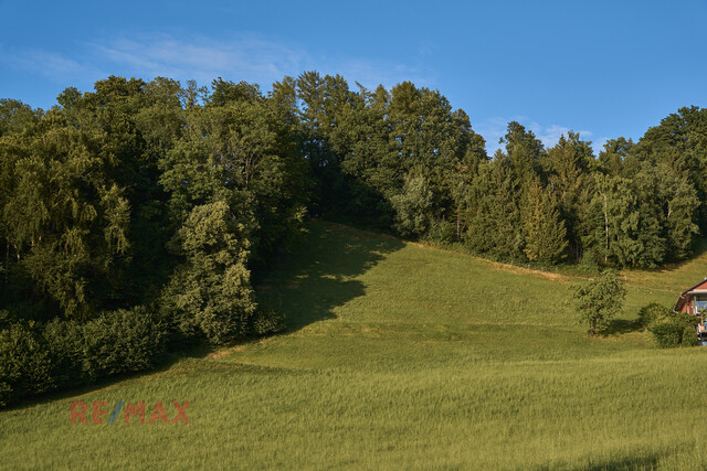 Ruhe, Weitblick und Lebensqualität in Harmonie