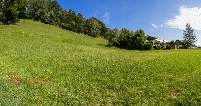 Exklusives Grundstück mit gigantischem Bodensee Weitblick