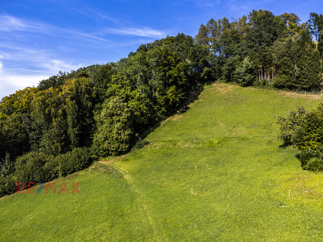 Exklusives Grundstück mit gigantischem Bodensee Weitblick